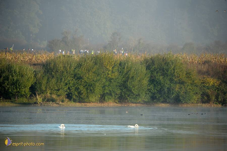 Nom de l'image : D30082989_1_(c)Norbert-JUNG — Description :